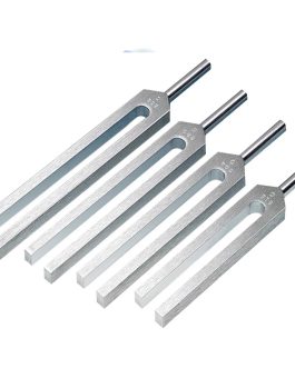 Tuning Fork